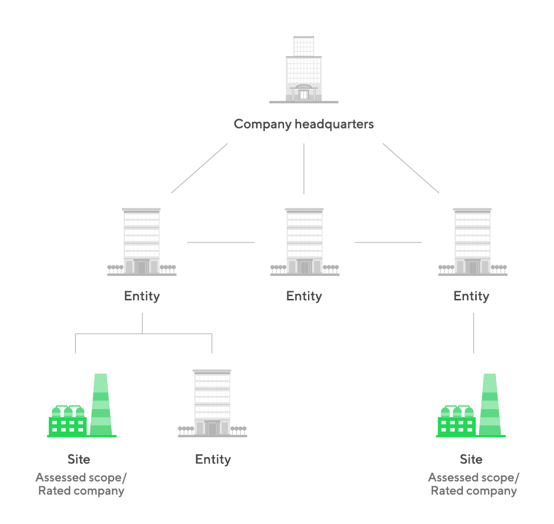 understanding-your-scope-of-assessment-ecovadis-help-center